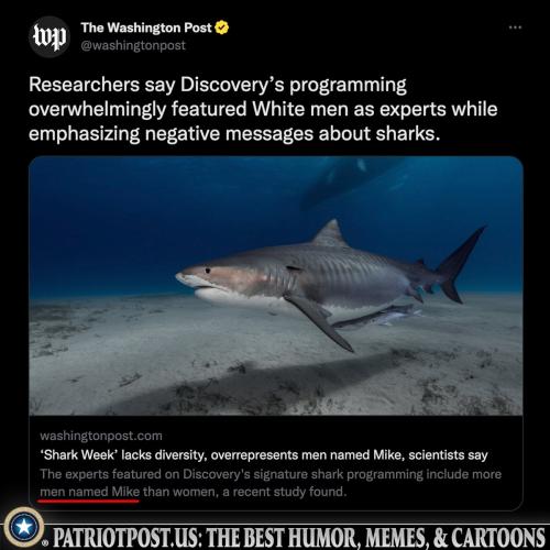 great white shark