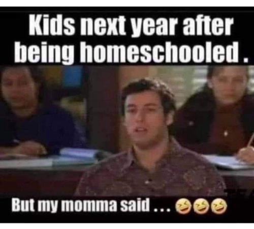 FB_IMG_1670978335179