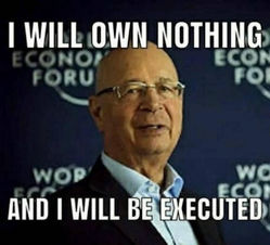 klaus schwab14