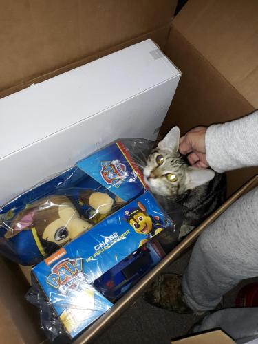 f82a23e9-7739-4ef1-a2a9-361ac314c9e3