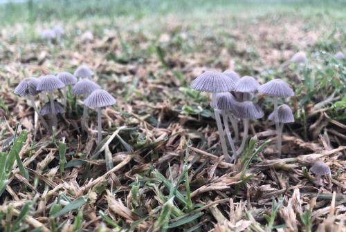 00:12:44 GMT-0600 (Central Standard Time).image