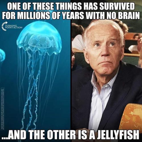 FB_IMG_1669861480276