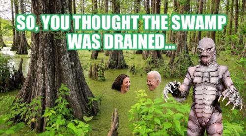 FB_IMG_1670849856488