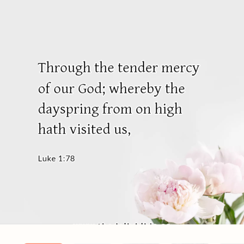 dailybible_20221222-012859_Luke_1-78