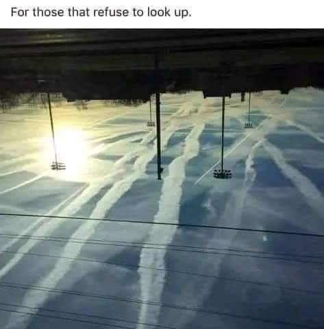 FB_IMG_1672233800621