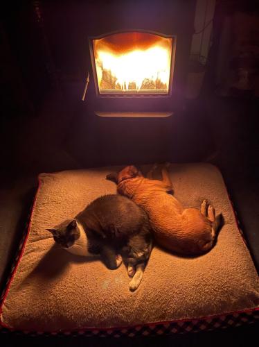 94FB03D0-34C2-49E1-A3E3-13521DBF8932