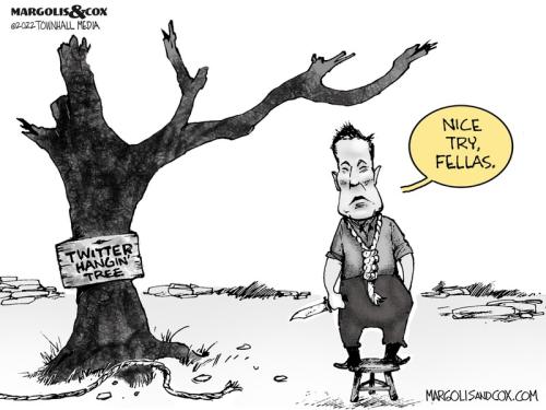 MC_MuskHanging_web-800x0