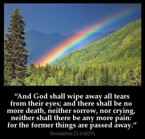 3dc60699-9269-4f4a-913d-0bf811a78f00