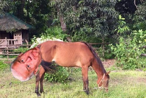 FB_IMG_1670288854531