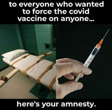 amnesty14