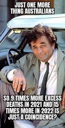 FB_IMG_1669866000321