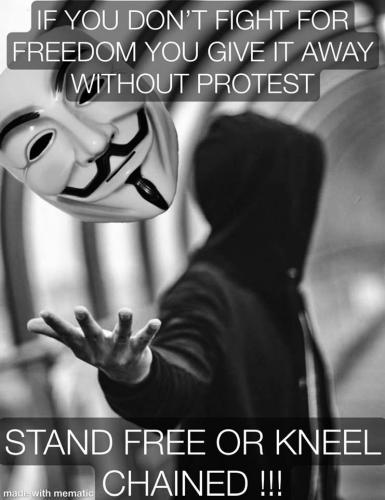 Freedom 2