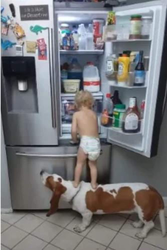 FB_IMG_1671140230003