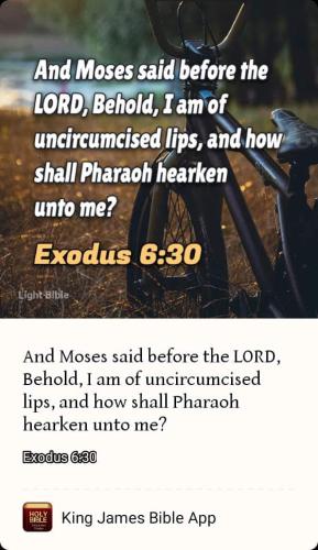 FB_IMG_1671694588908