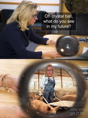 FB_IMG_1671731898493