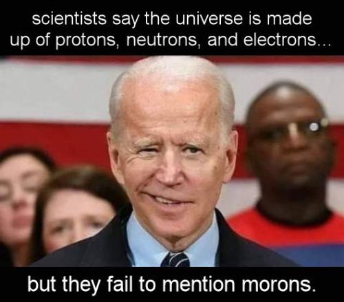 biden1155