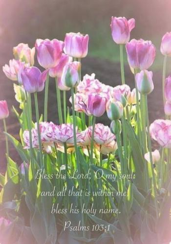 71e9f37c-6157-4815-881f-41840b909d34