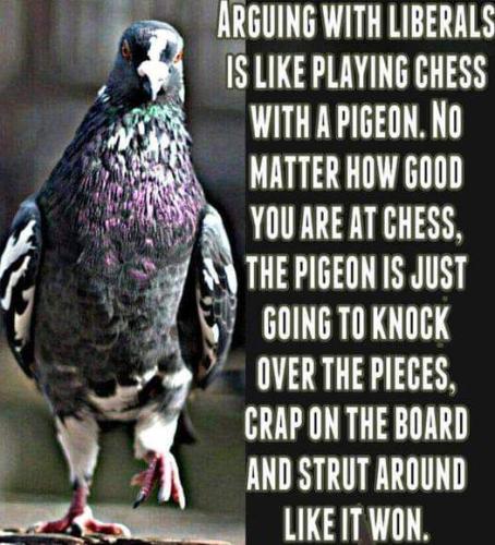 FB_IMG_1667885381629