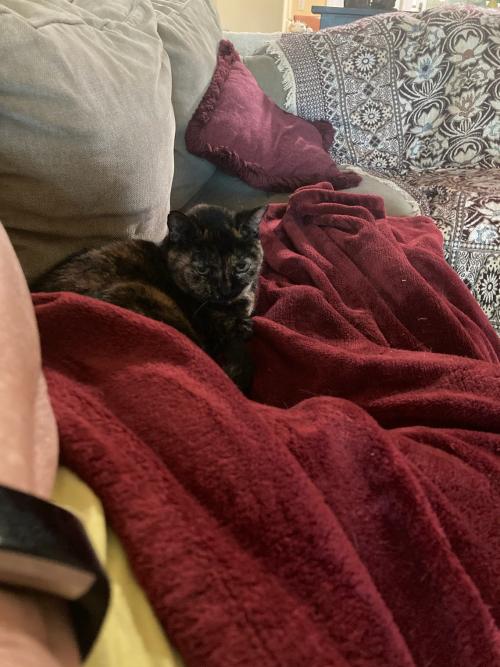 EEBE21B9-8E4D-4A39-953A-1D5D0FE8A529