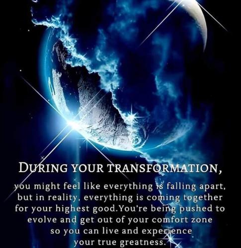 FB_IMG_1670887802312