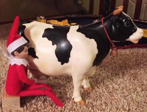 FB_IMG_1671291021452