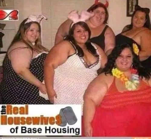 317899755_10223931909589076_1965069555604253683_n