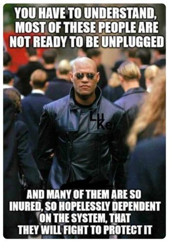 55B8738D-0481-44F8-8460-A9383D347287