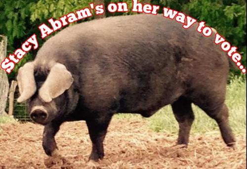 12:54:20 GMT-0500 (EST)