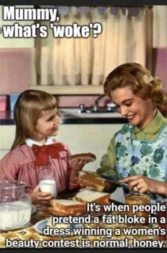 FB_IMG_1671065351118