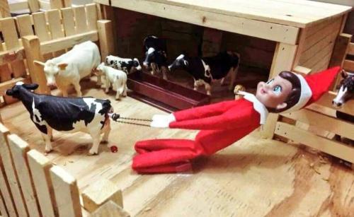 FB_IMG_1671291011853