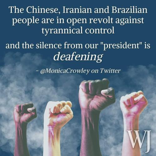 FB_IMG_1669921211706