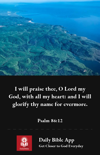 2022-12-061670375875879