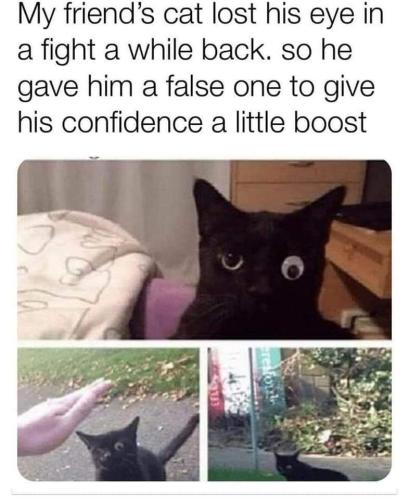 FB_IMG_1671905442850