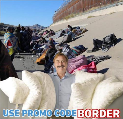 illegal immigration306