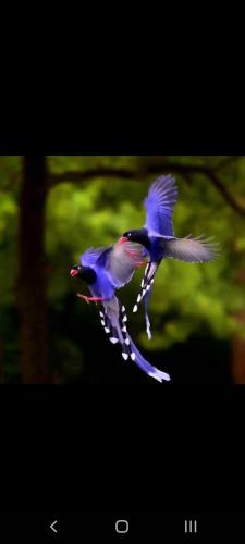 Screenshot_20221130-183803_Wimkin Free Speech Social Media