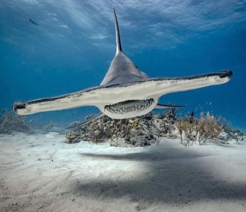 319239530_10217783750945664_4047927576731001034_n