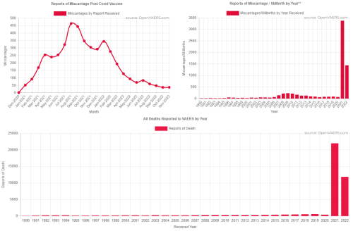 VAERS Data On Deaths, Miscarriages & Stillbirths Up To December 09, 2022