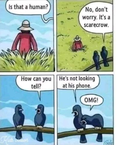 FB_IMG_1670733887029