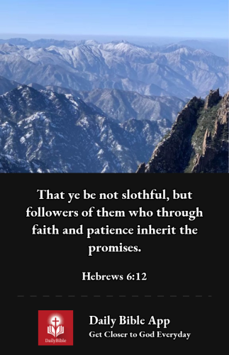 2022-12-281672275270102