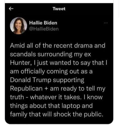 hallie biden hunter laptop dem vote fraud