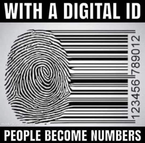 317800400_3033370880294909_8604896090124390253_n