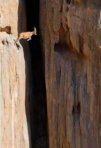 317967990_212247047835532_3727170204246131487_n