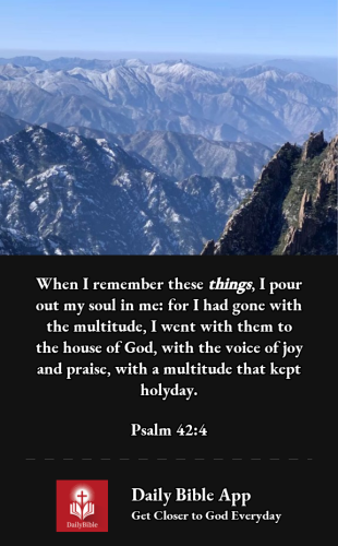 2022-12-281672275349061