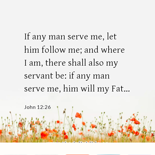 dailybible_20221209-004549_John_12-26