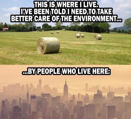 FB_IMG_1672185365611