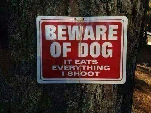 FB_IMG_1671669771611