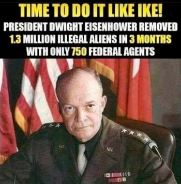illegal immigration302
