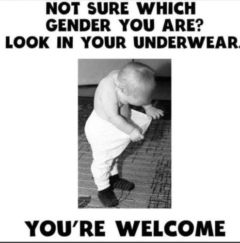 gender me