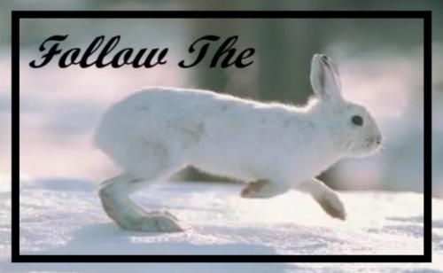 photo_2022-12-13_23-00-38