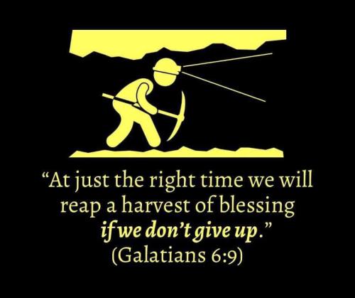 IMG_20221228_125711_809